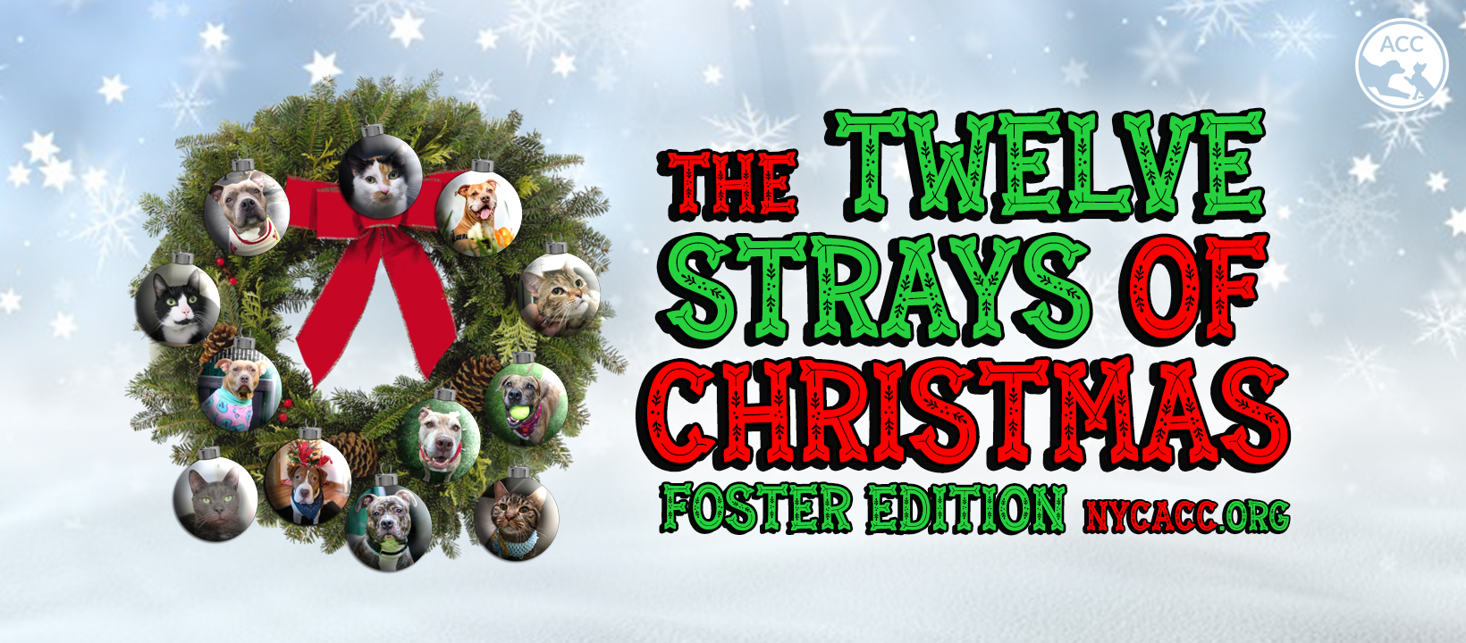 Twelve Strays of Christmas 2019