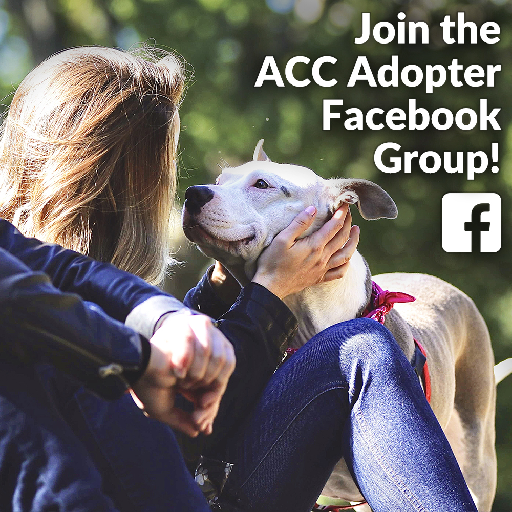 ACC Adopter Facebook Group