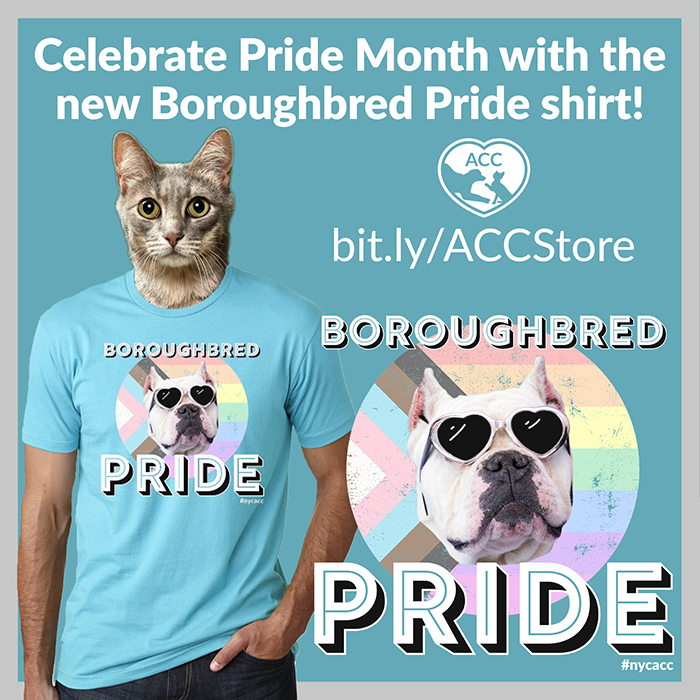 Boroughbred Pride Shirt