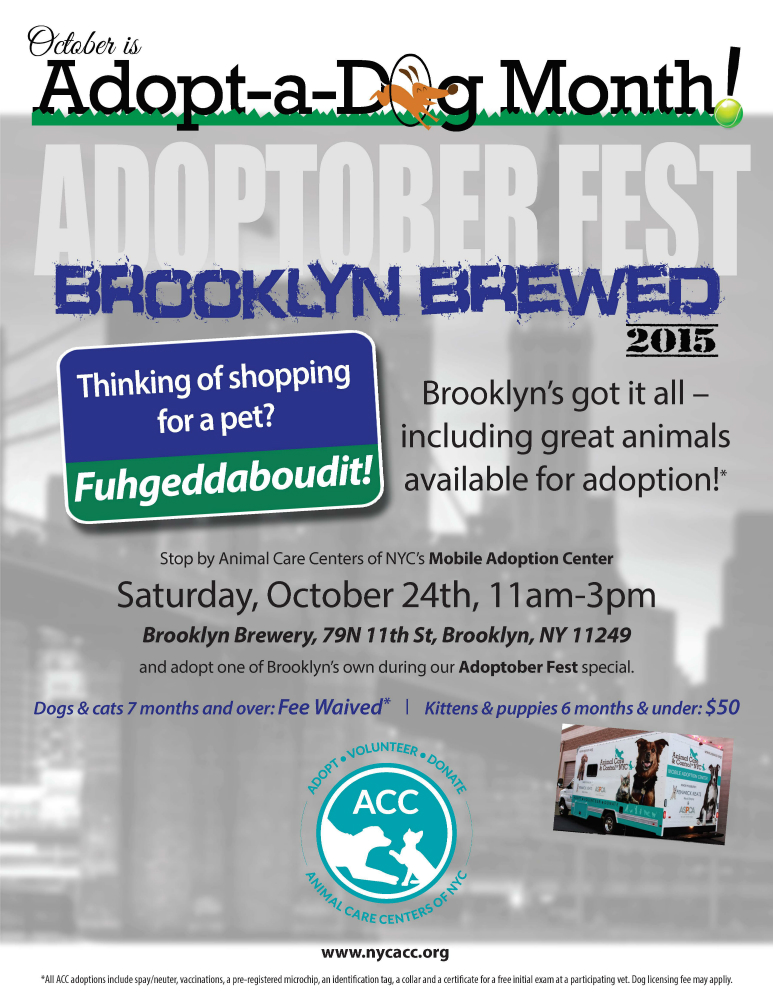 Adoptoberfest flyer