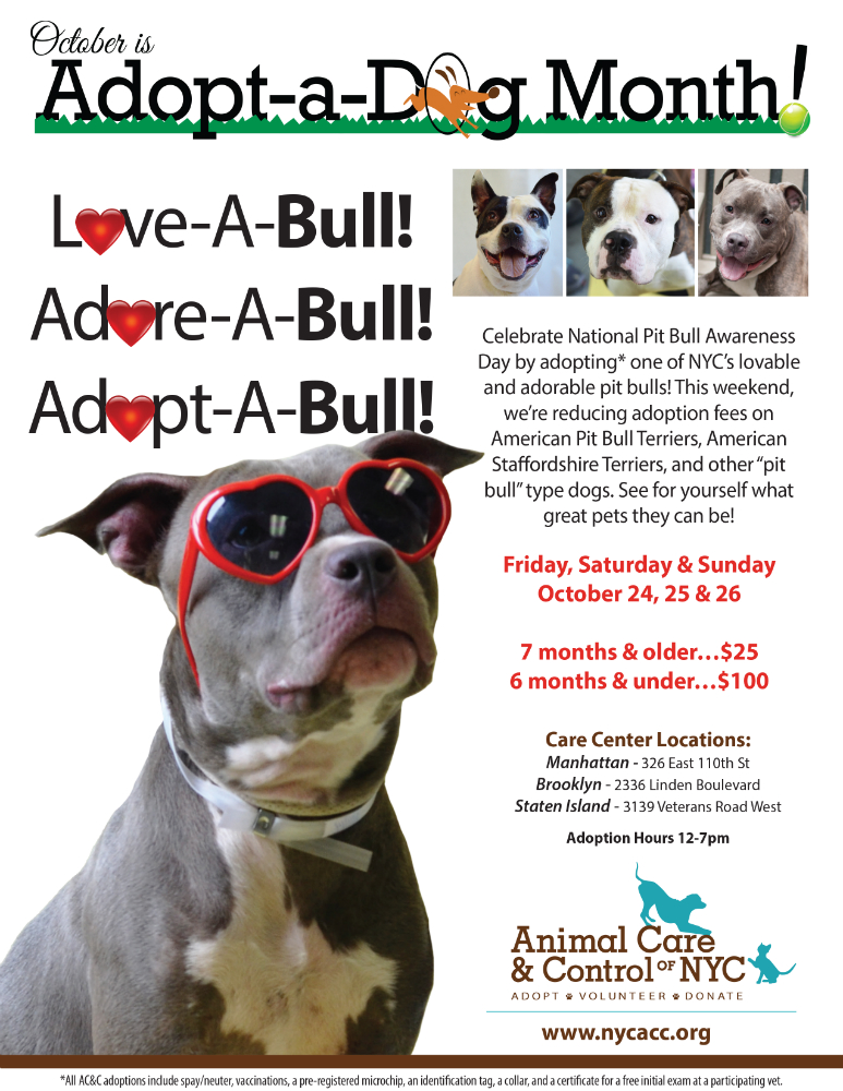 Love-A-Bull! Adore-A-Bull! Adopt-A-Bull!
