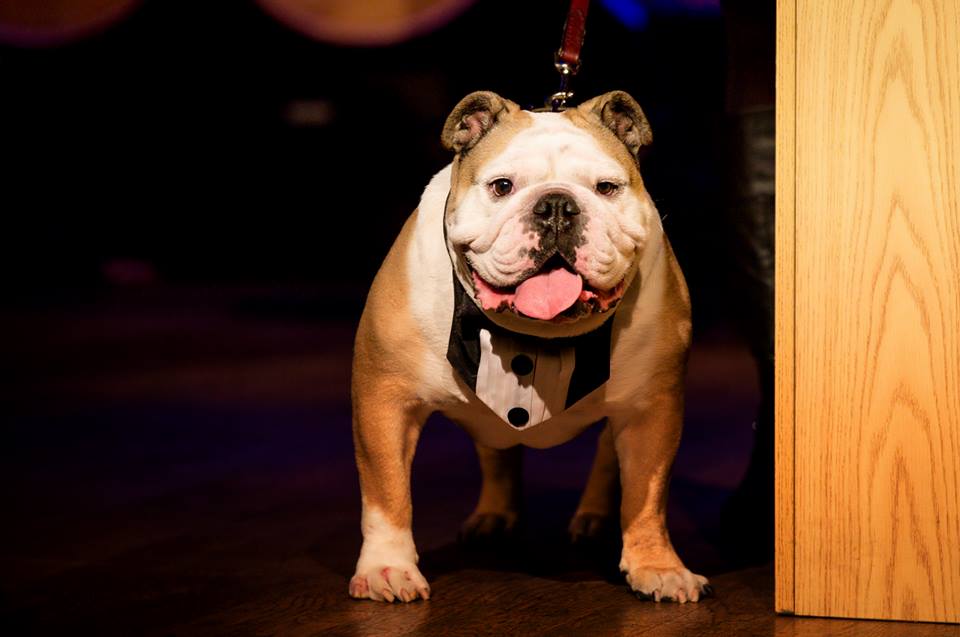 Baby Howard at NYK gala 2015