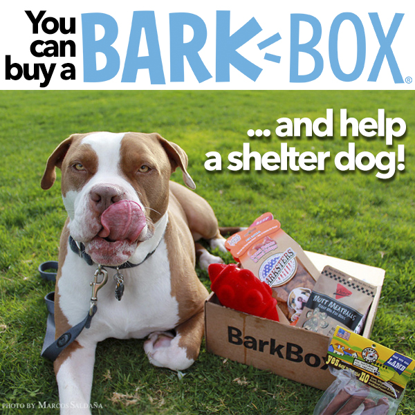BarkboxPB.jpg