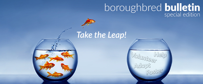 take the leap!