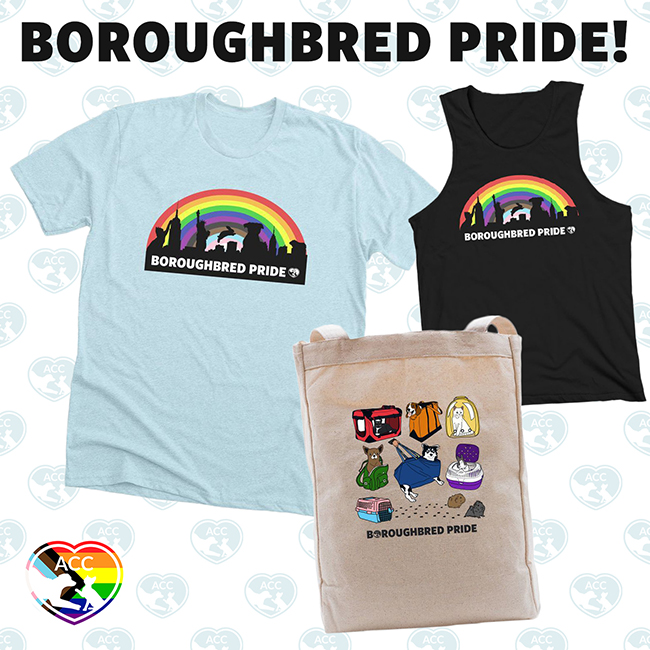 Boroughbred Pride Bulletin