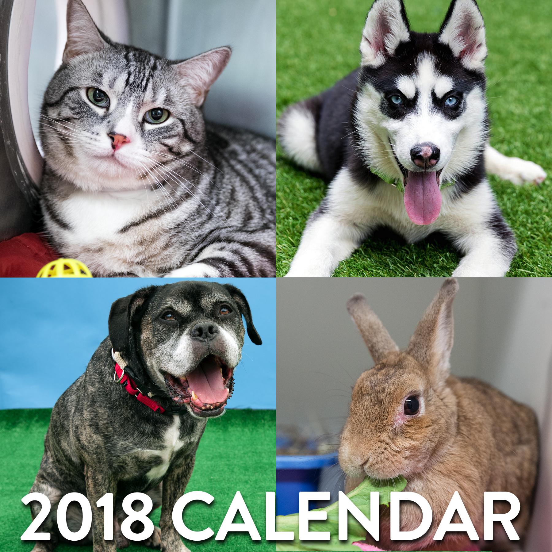 Calendar post graphic2.jpg
