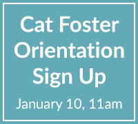 cat foster sign up 1 10