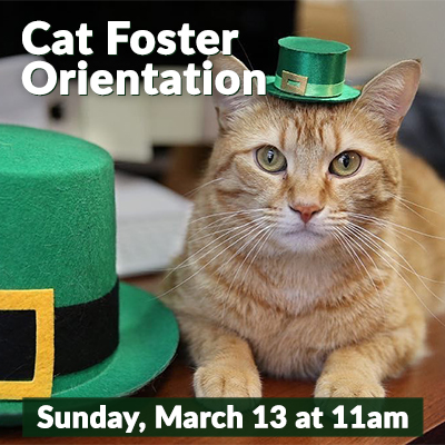 CatFosterMarch22