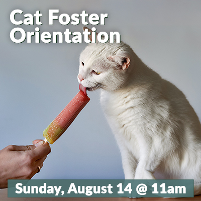 Cat Foster August 2022