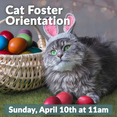 Cat Foster April 2022
