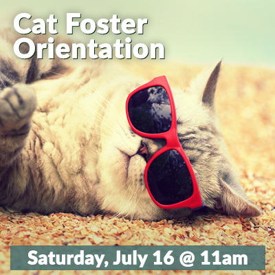 Cat_Foster_July