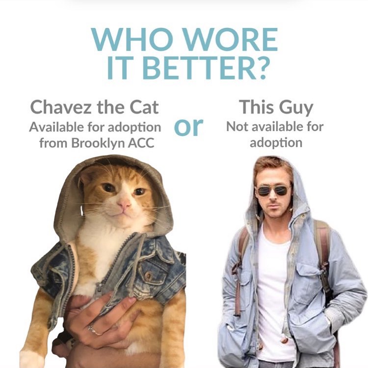 Who wore it better?