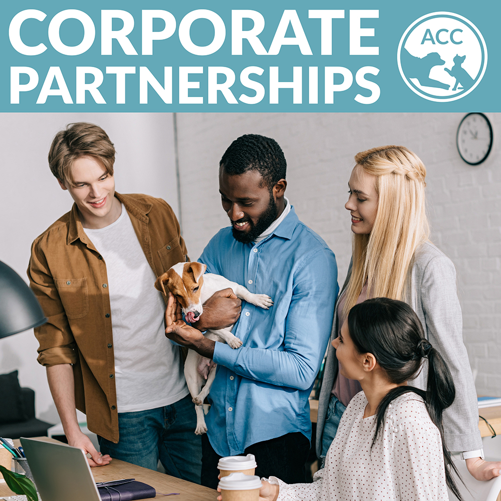 Corporate Partnerships