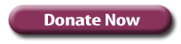 Donate Now