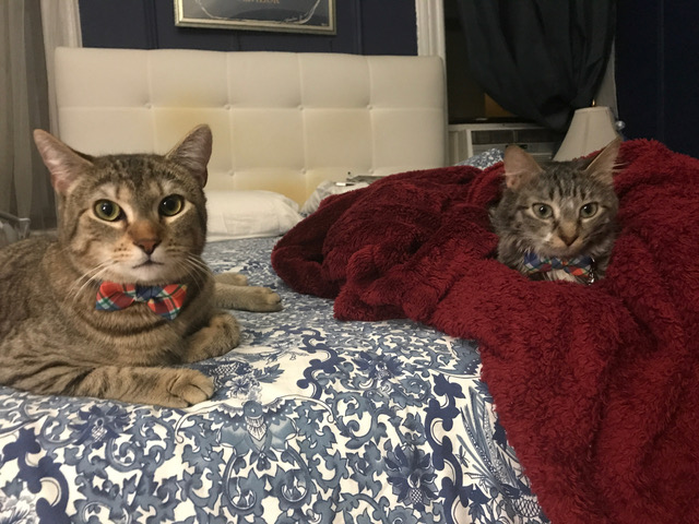 Emmi and Zephs