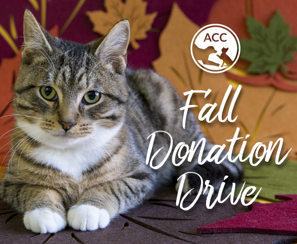 Fall Donation Drive
