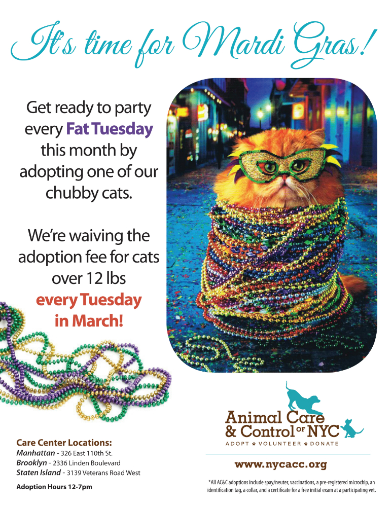 Fat Tuesday flyer