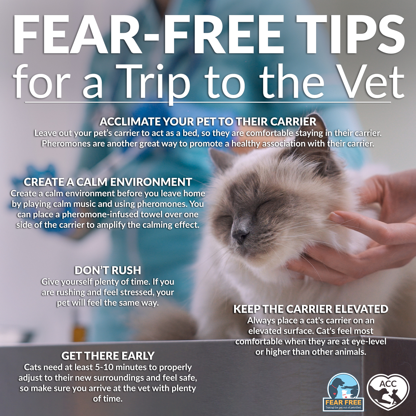 FearFreeVetTrip