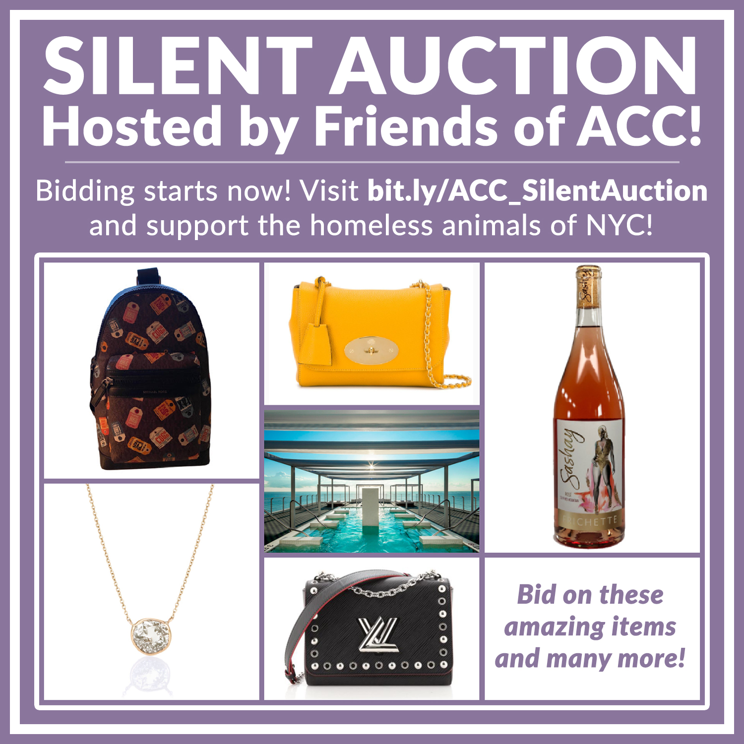 silent auction spring 2021