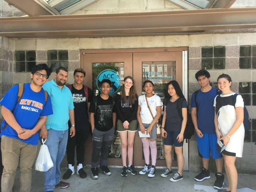 Harvest Collegiate HS