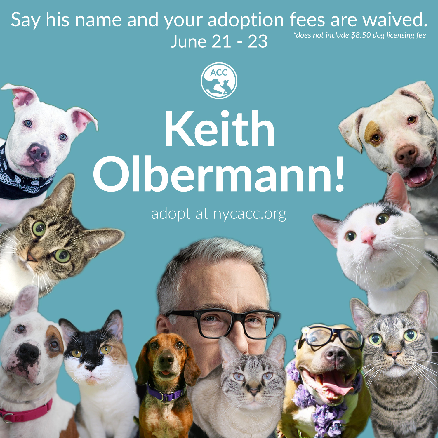 Keith Olbermann Say His Name
