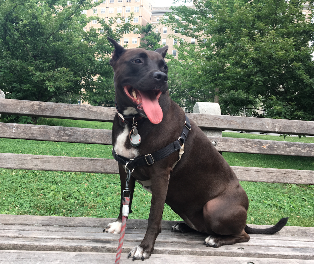 Lady on bench