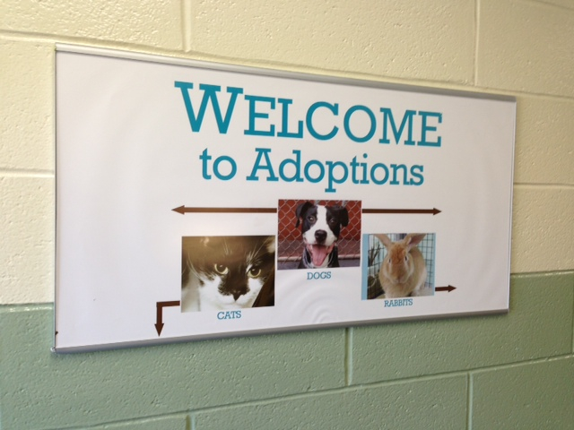 Manhattan Care Center adoptions sign