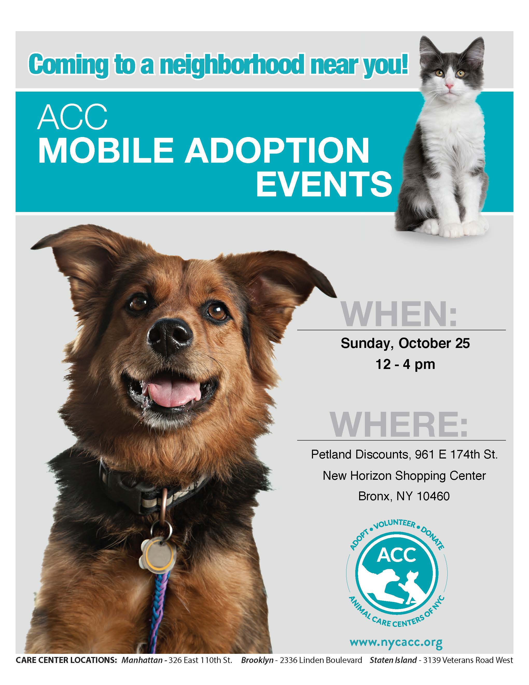 Pet adoption hot sale centers bronx