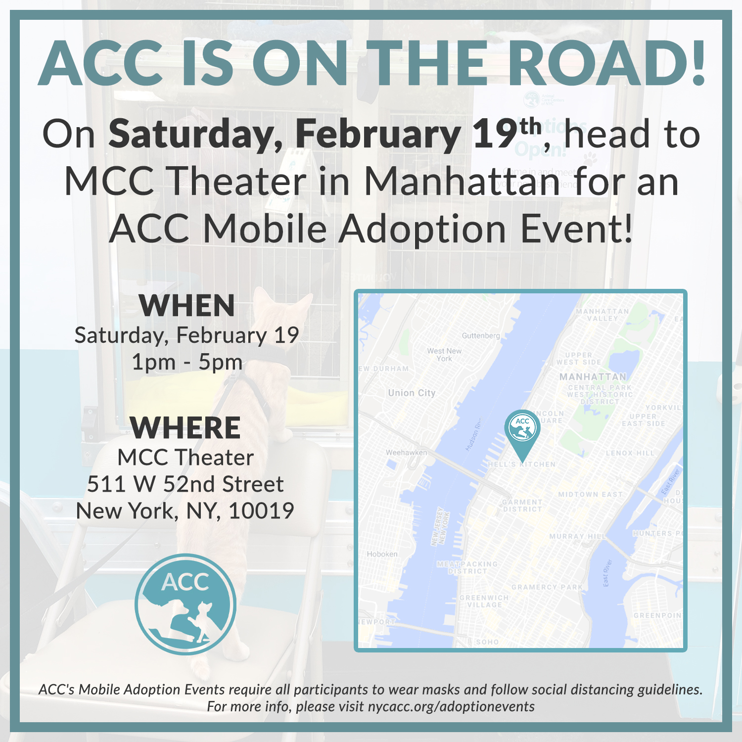 MCC Theater adoption event