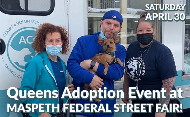 April 30 2022 Adoption Event