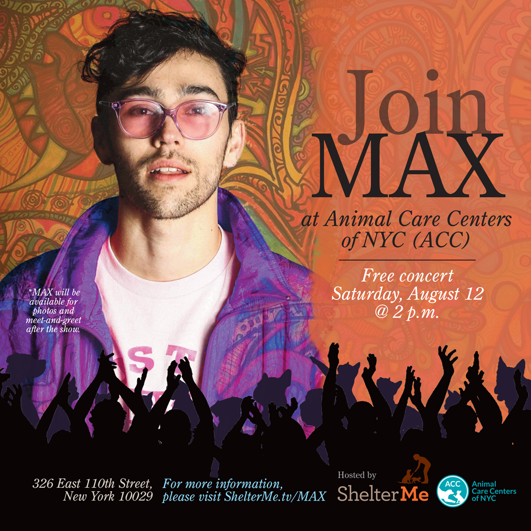 MAX concert at ACC