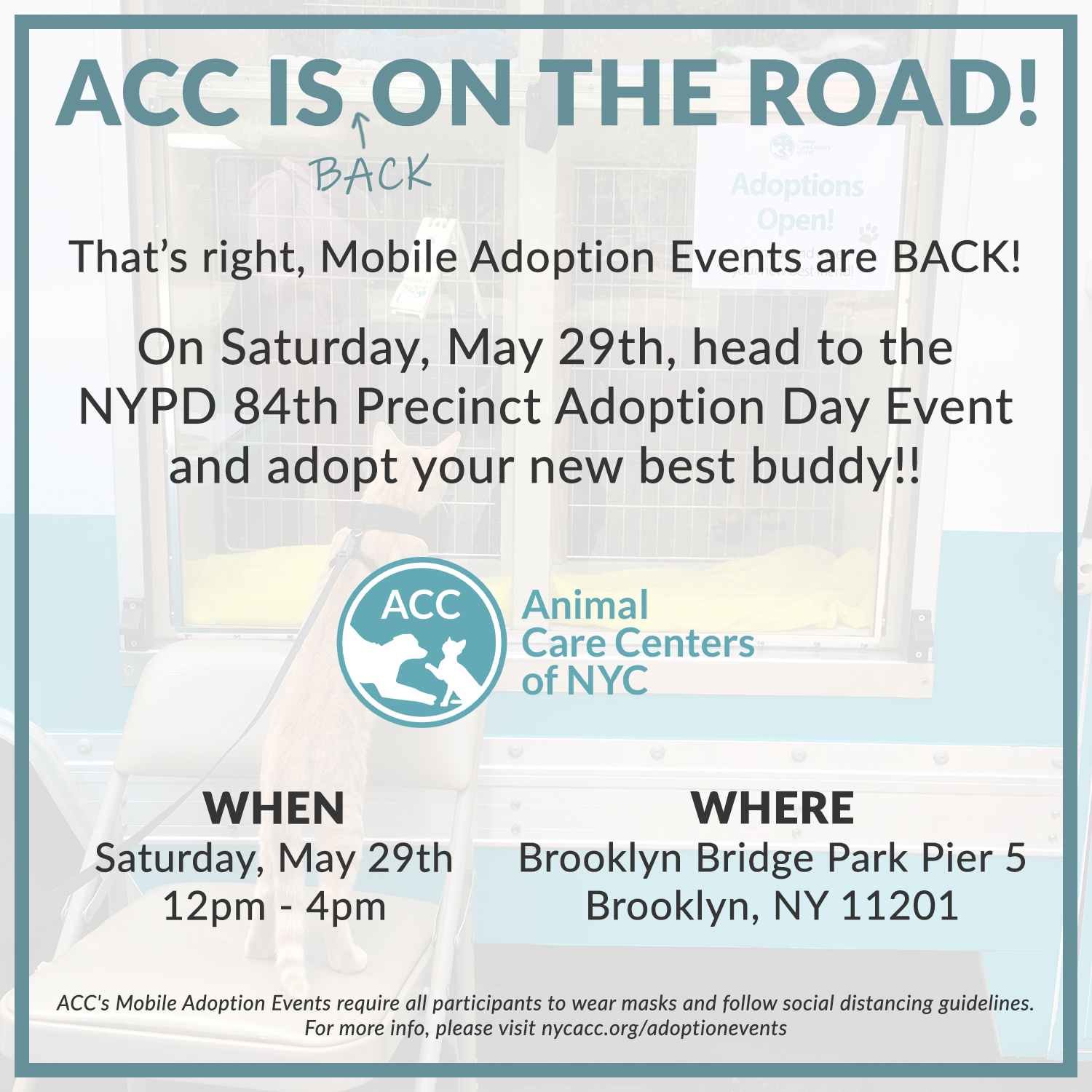 May29 Mobile adoption event