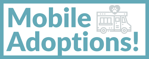 Mobile Adoption Header May 27