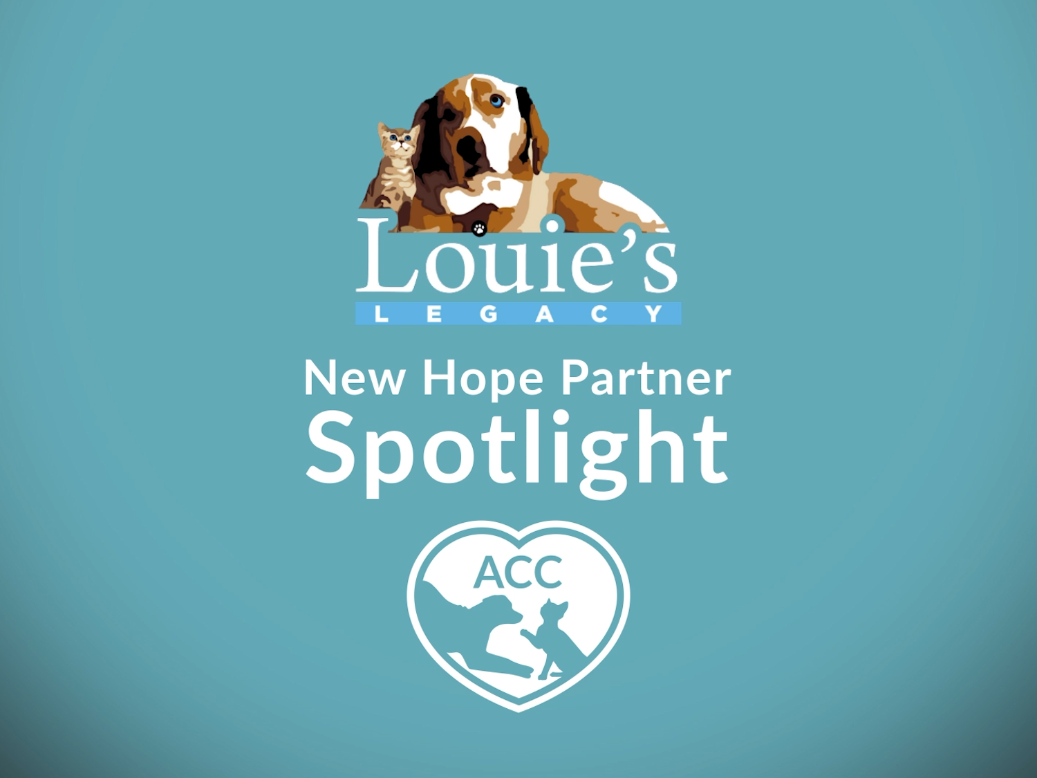 Partner_Spotlight_LouiesLegacy