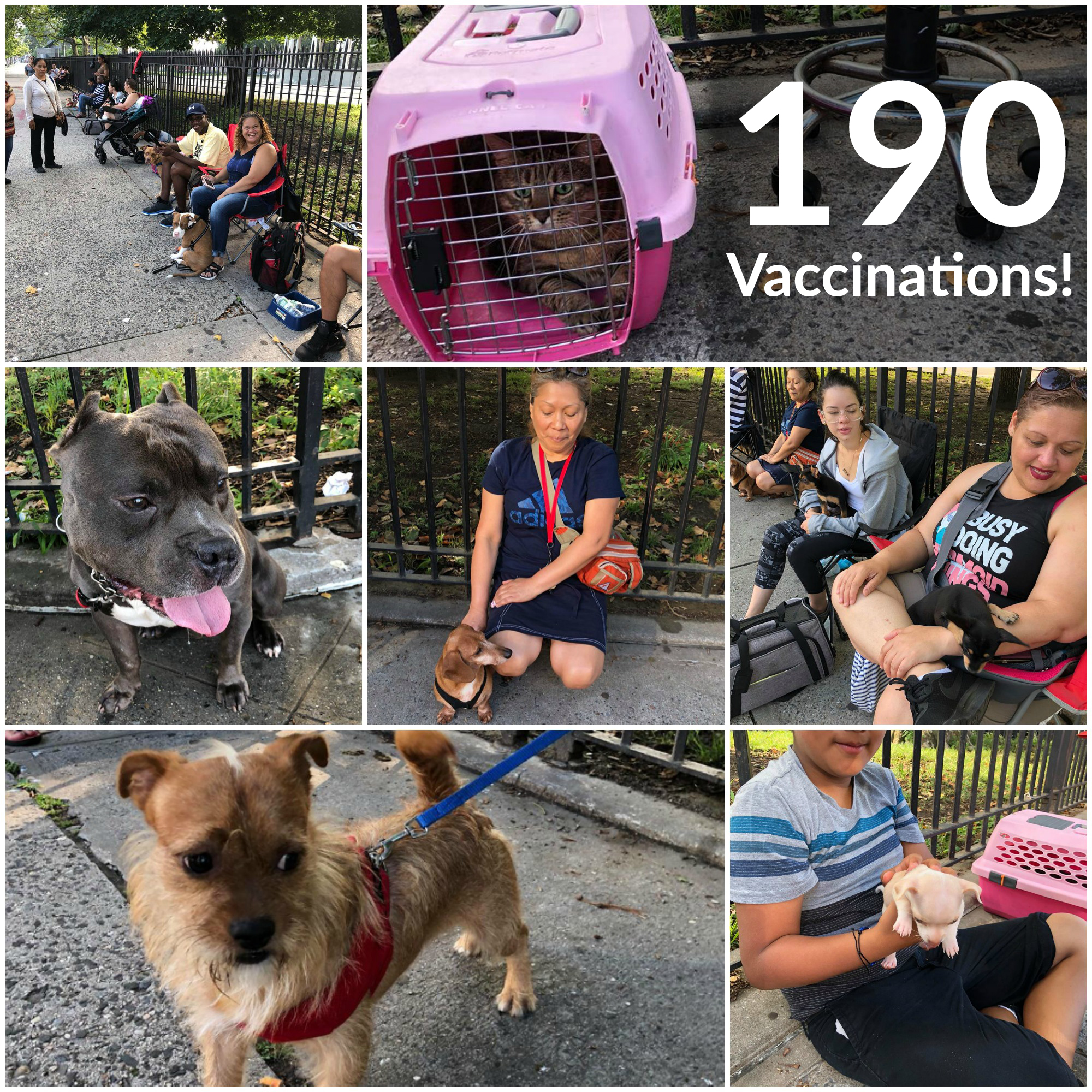 Poe Park Vaccination