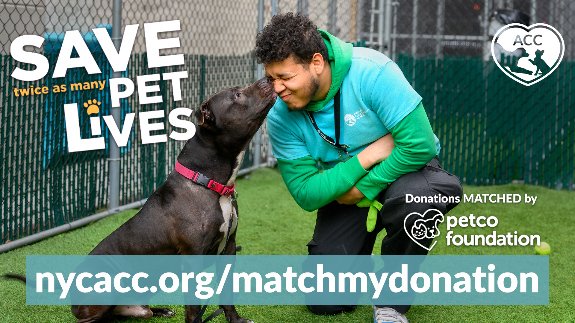 Petco Pledge to save lives