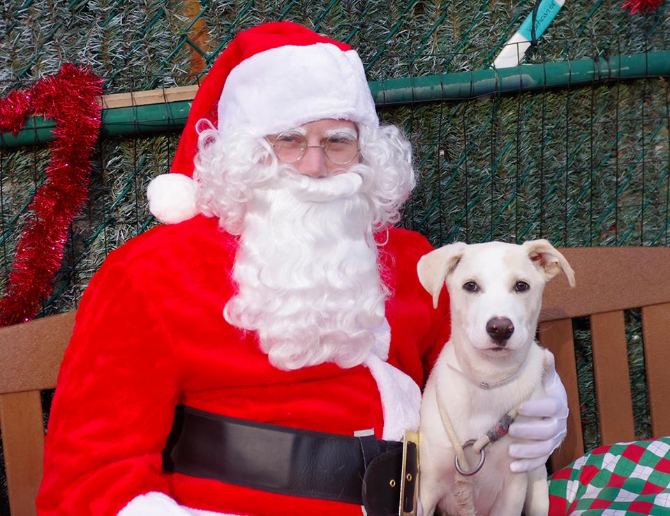 Santa Mark with Nico