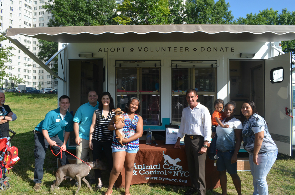 Mobile Adoption Center in the Bronx