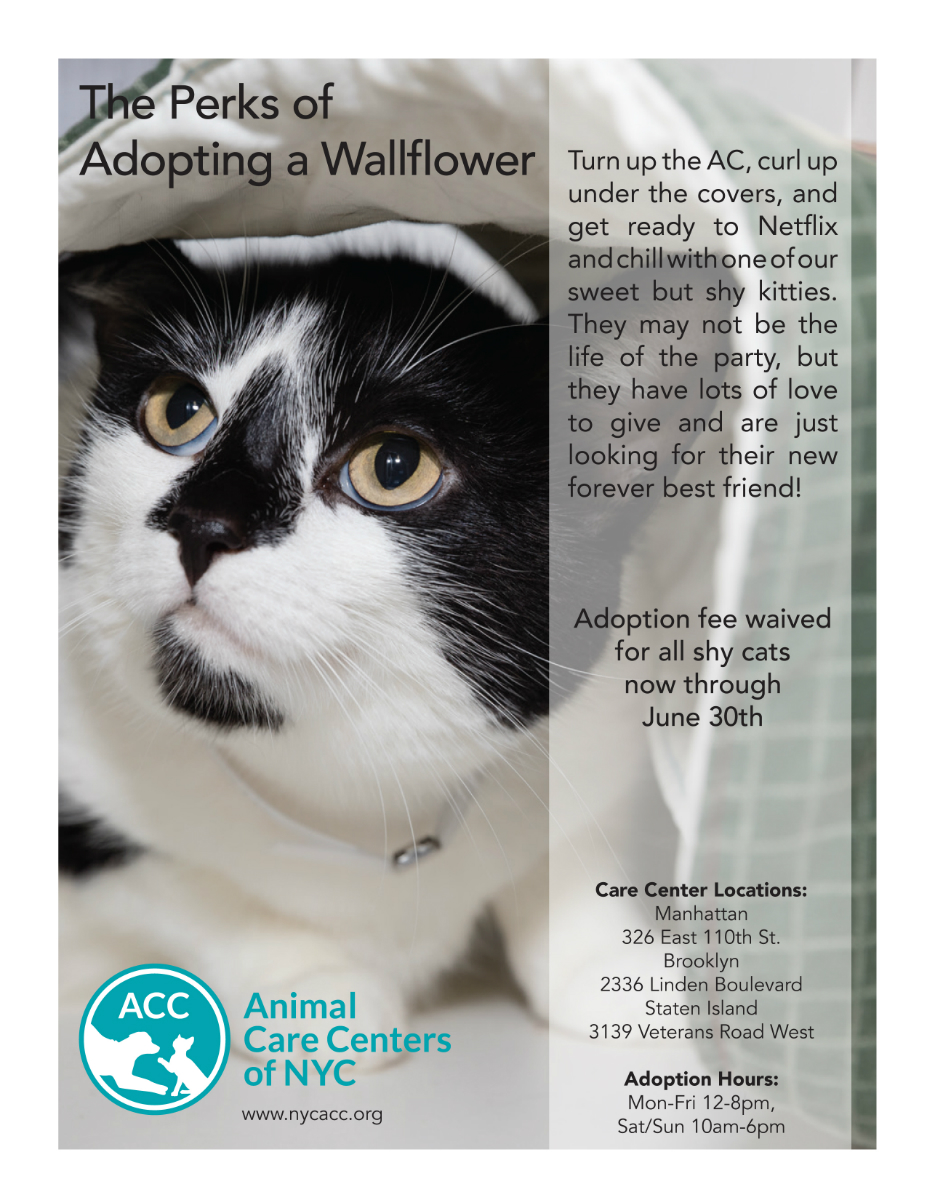 Perks of Adopting a Wallflower
