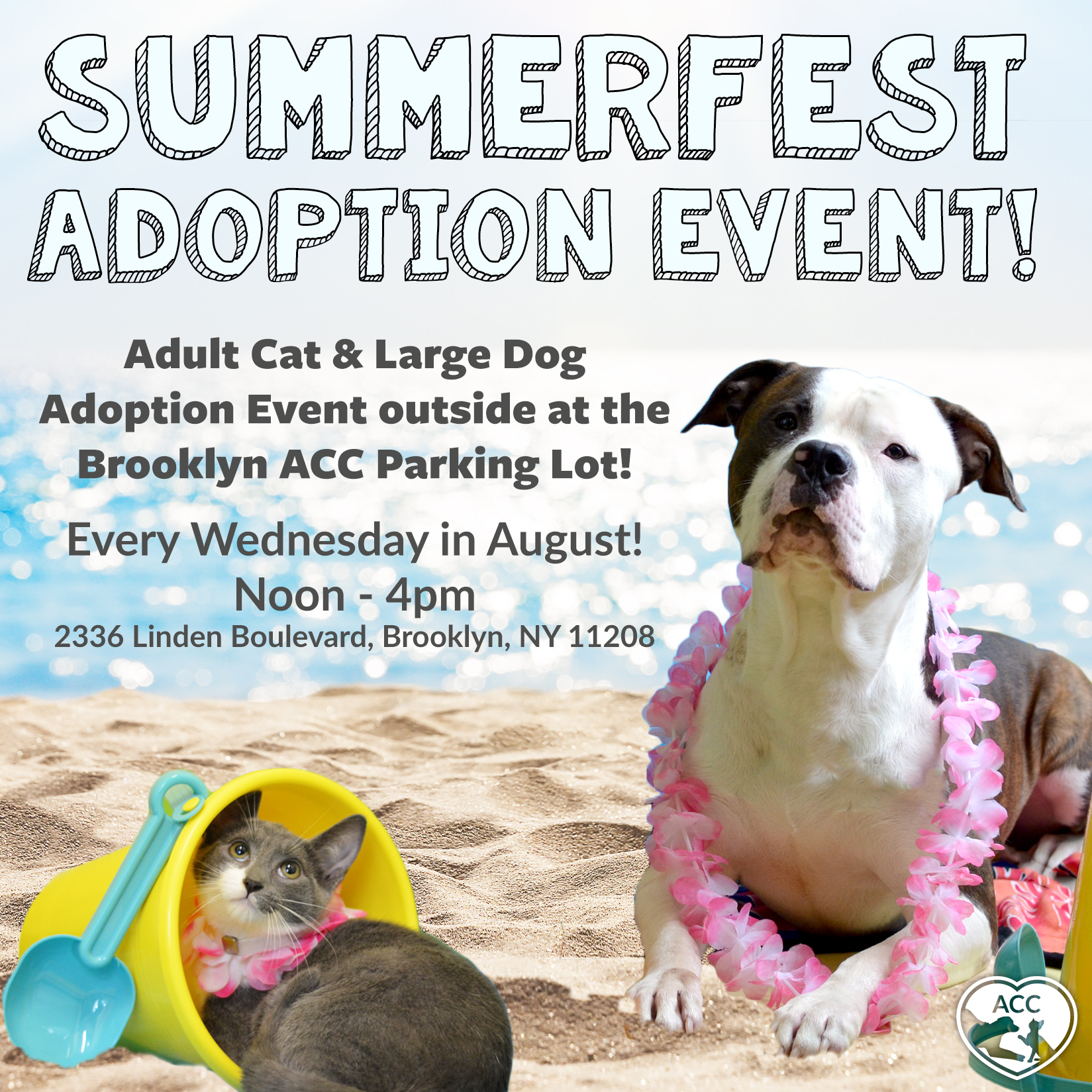 Summerfest Adoption Events