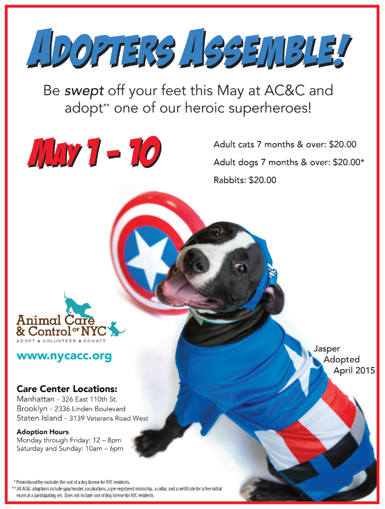 Superheroes adoption special flyer