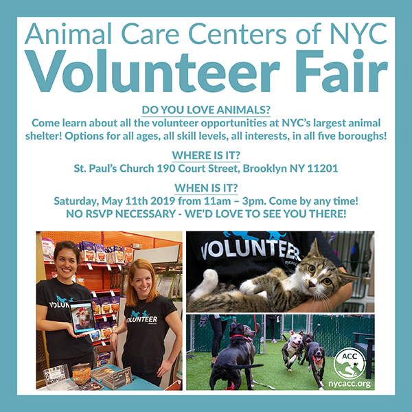 Volunteer Fair May 2019