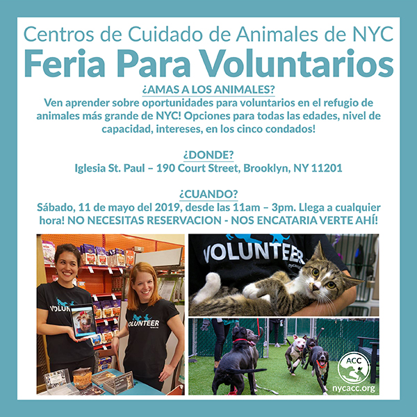 Volunteer Fair May 2019