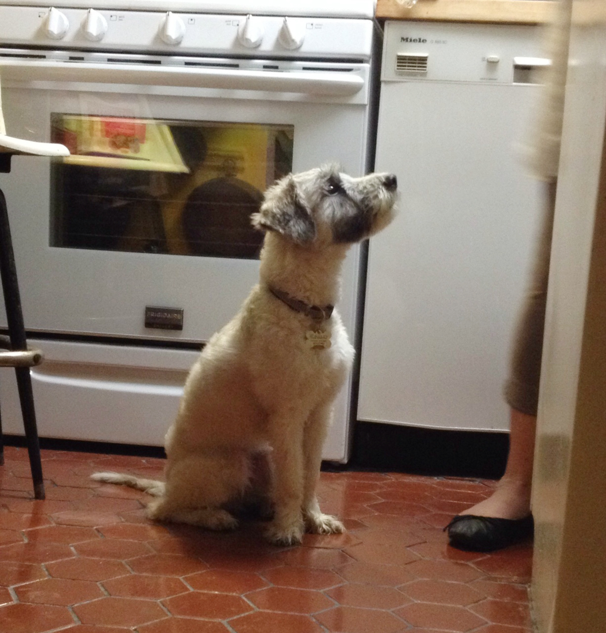 Whiskey in kitchen
