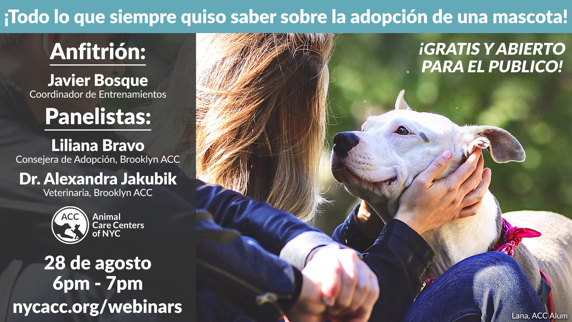 Todo lo que siempre quiso saber sobre la adopción de una mas