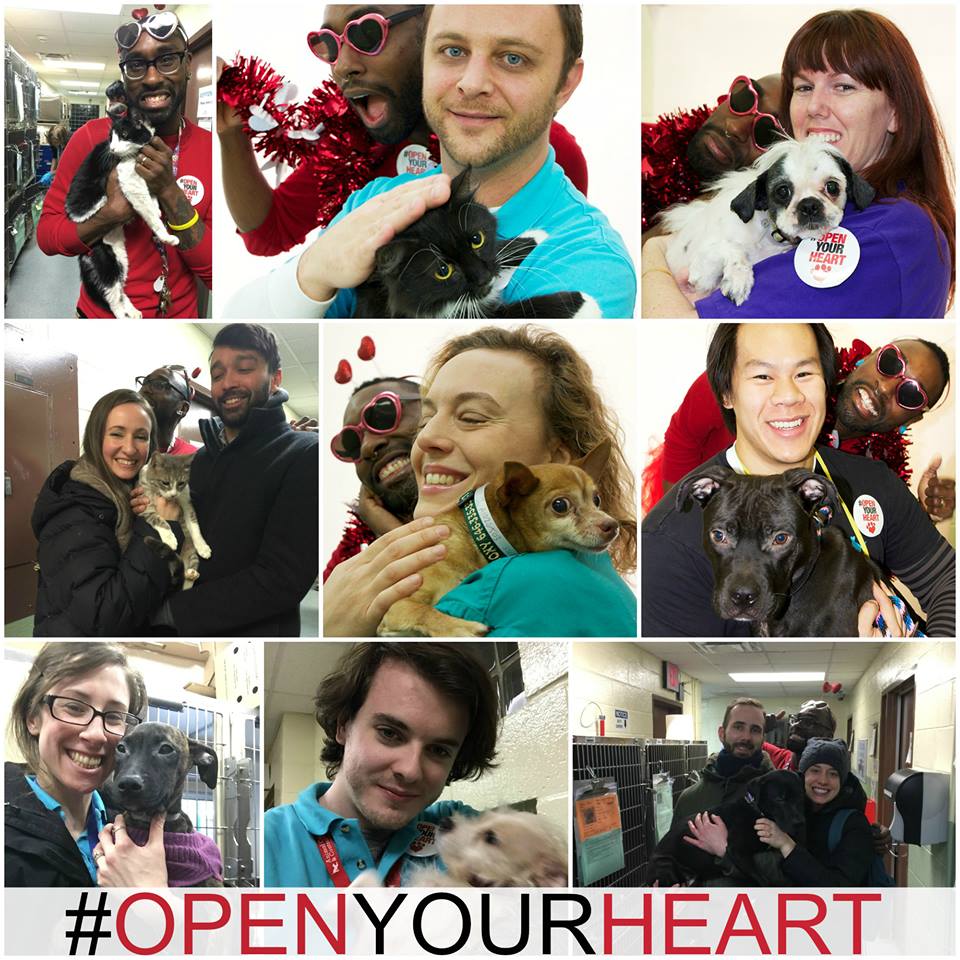Open Your Heart collage
