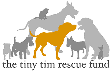 tinytimrescuefund.jpg