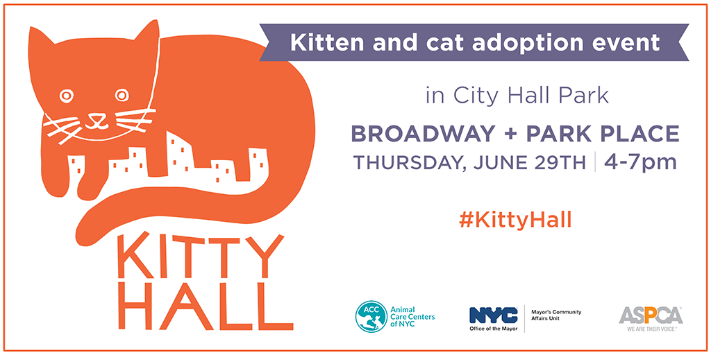 Kitty Hall June 29, 2017