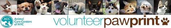 Volunteer PawPrint header